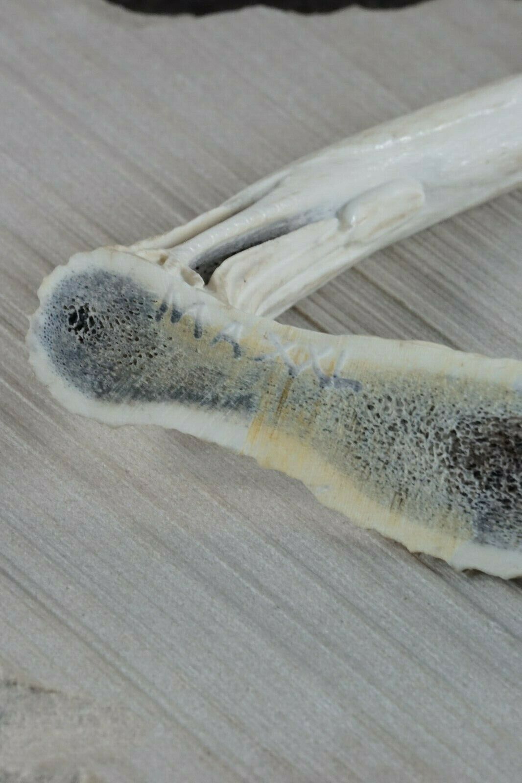 Crane Zuni Fetish Carving - Maxx Laate - High Lonesome Trading