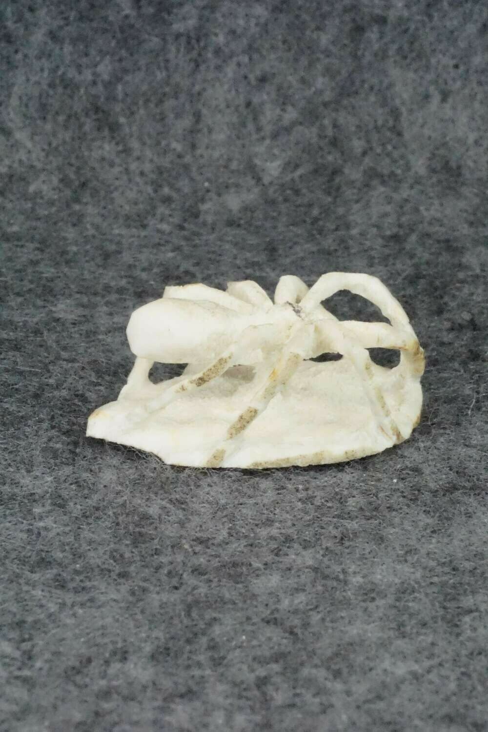 Spider Zuni Fetish Carving - Lewis Malie Jr.