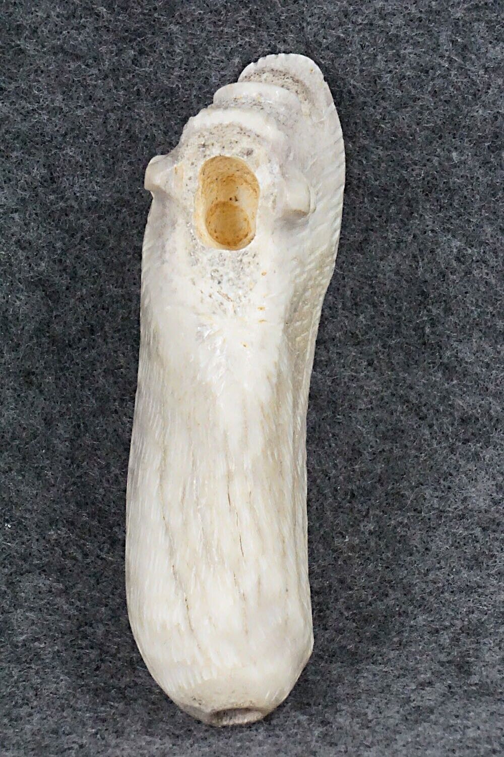 Buffalo Zuni Fetish Carving - Allison White