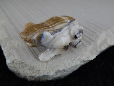 Frog Zuni Fetish Carving - Nelson Yatsattie - High Lonesome Trading