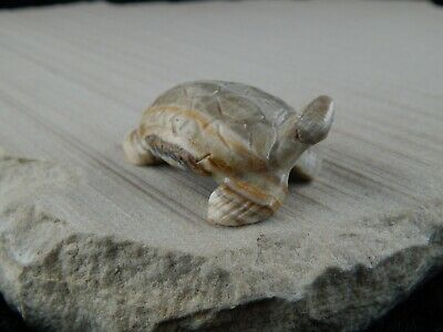 Turtle Zuni Fetish Carving - Wilfred Cheama - High Lonesome Trading