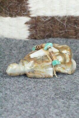 Turtle Zuni Fetish Carving - Daisy Natewa - High Lonesome Trading