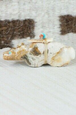 Bear Zuni Fetish Carving - Peter Gasper - High Lonesome Trading