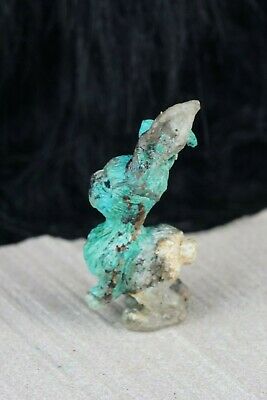 Rabbit Zuni Fetish Carving - Esteban Najera - High Lonesome Trading
