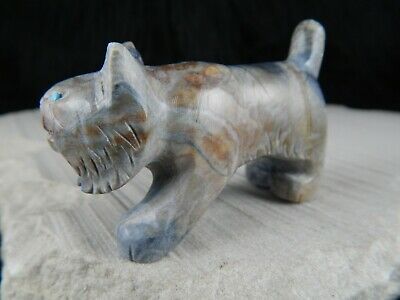 Bobcat Zuni Fetish Carving - Cody Nastacio - High Lonesome Trading
