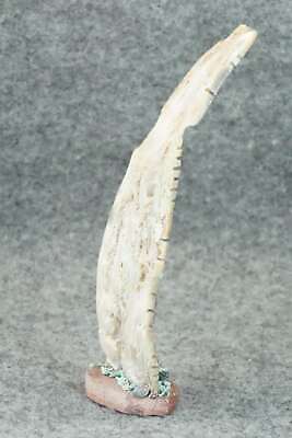 Corn Maiden Zuni Fetish Carving - Carl Etsate
