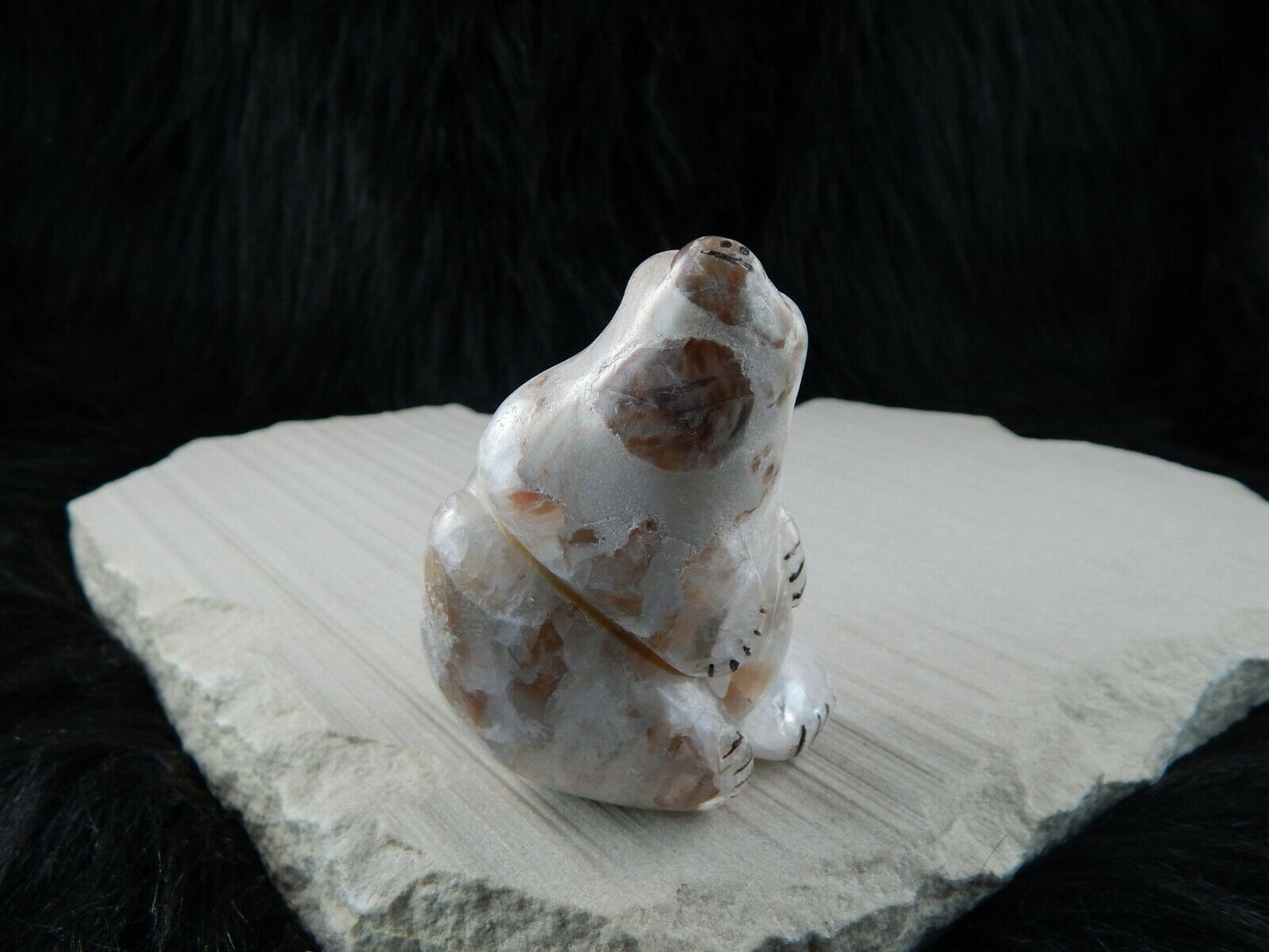 Bear Zuni Fetish Carving - Kallestewa - High Lonesome Trading