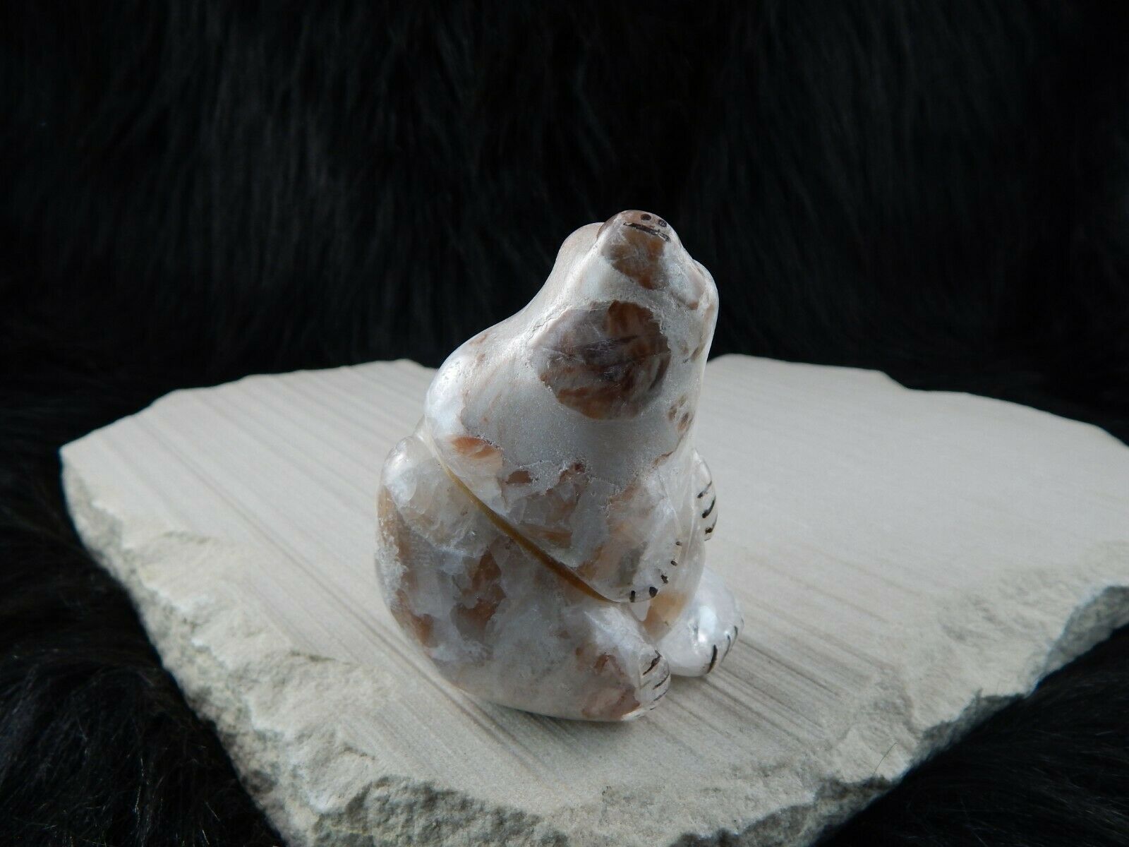 Bear Zuni Fetish Carving - Kallestewa - High Lonesome Trading