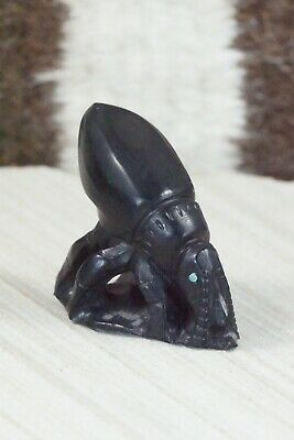 Beetle Zuni Fetish Carving - Derrick Kaamasee