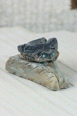 Horned Toad Zuni Fetish Carving - Kent Panteah - High Lonesome Trading