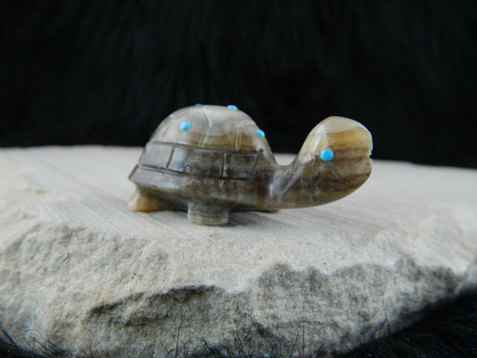 Turtle Zuni Fetish Carving - Ronnie Lunasee - High Lonesome Trading