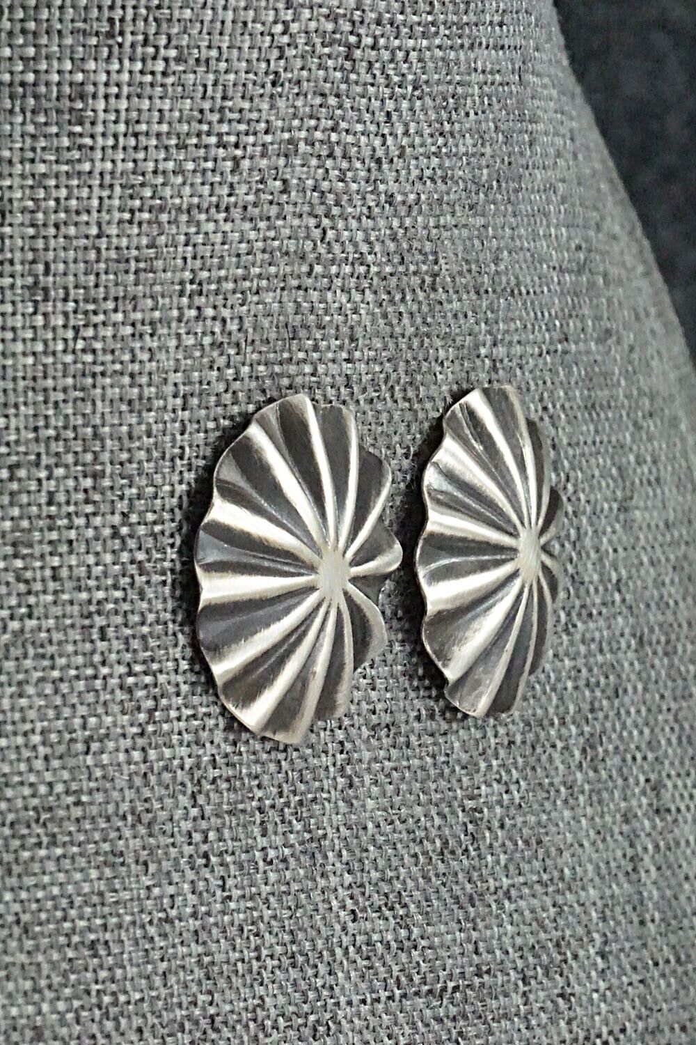 Sterling Silver Earrings - Arlene Soce