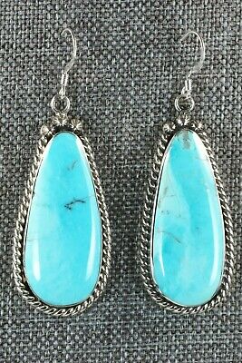 Turquoise and Sterling Silver Earrings - Brandon Belin