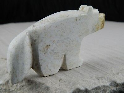 Bear Zuni Fetish Carving - Bernard Laiwakete - High Lonesome Trading