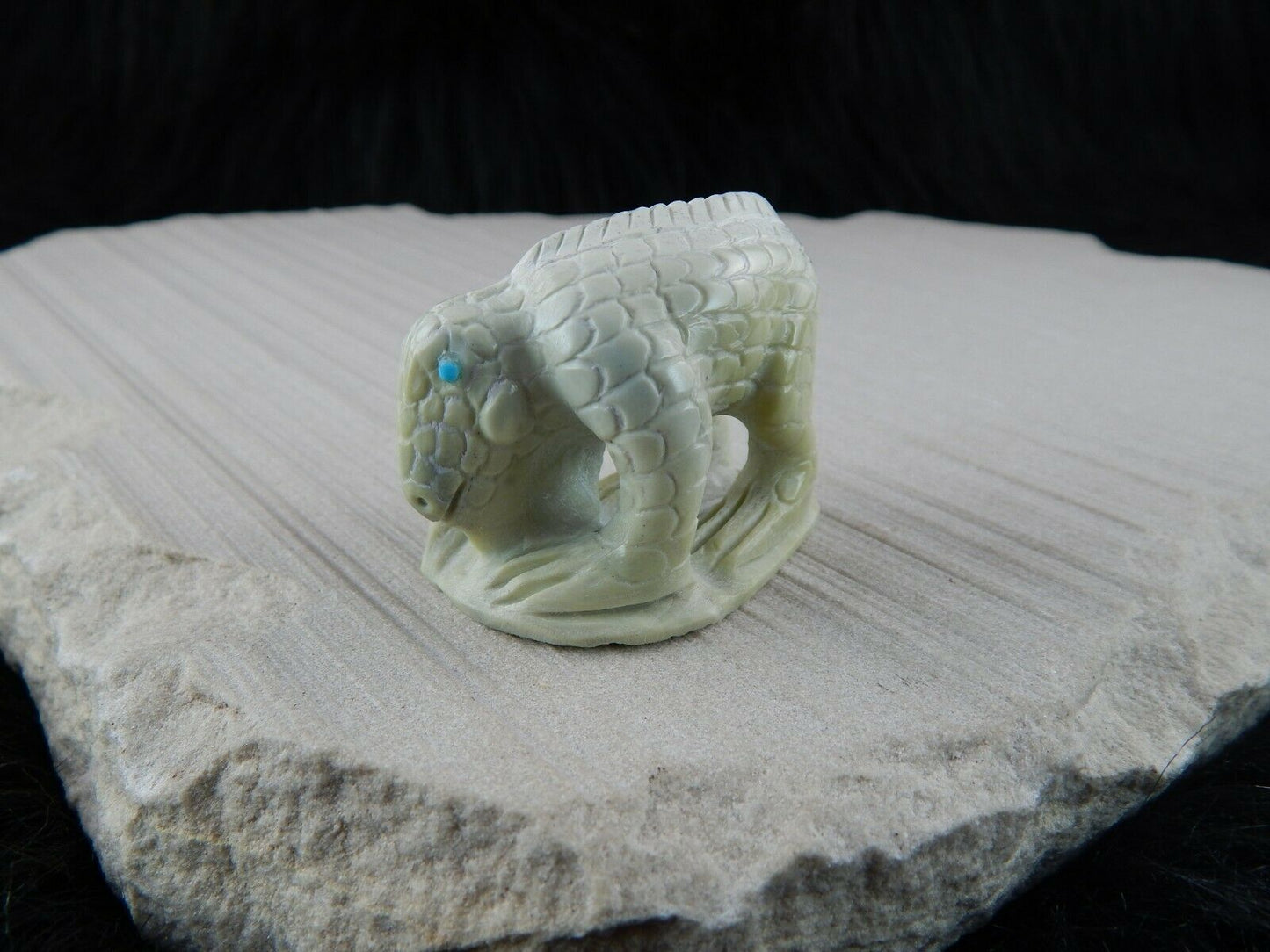 Lizard Zuni Fetish Carving - Carlton Kaamasee - High Lonesome Trading