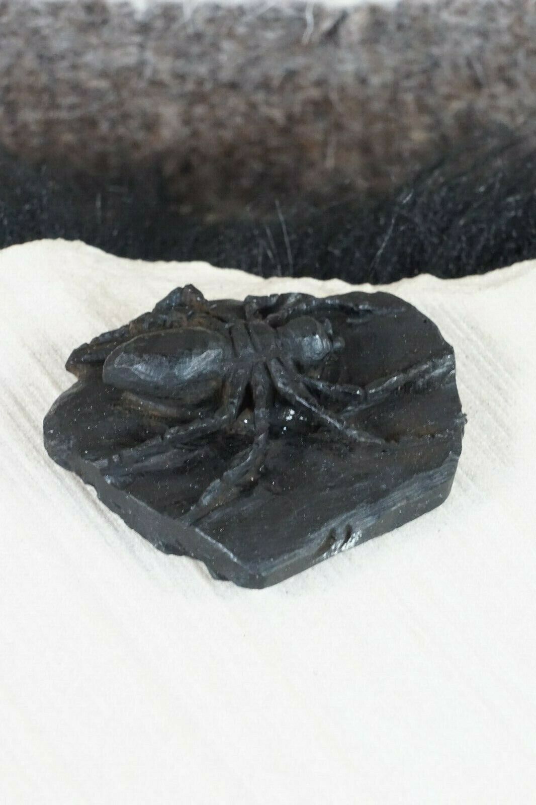 Spider Zuni Fetish Carving - Lewis Malie Jr - High Lonesome Trading