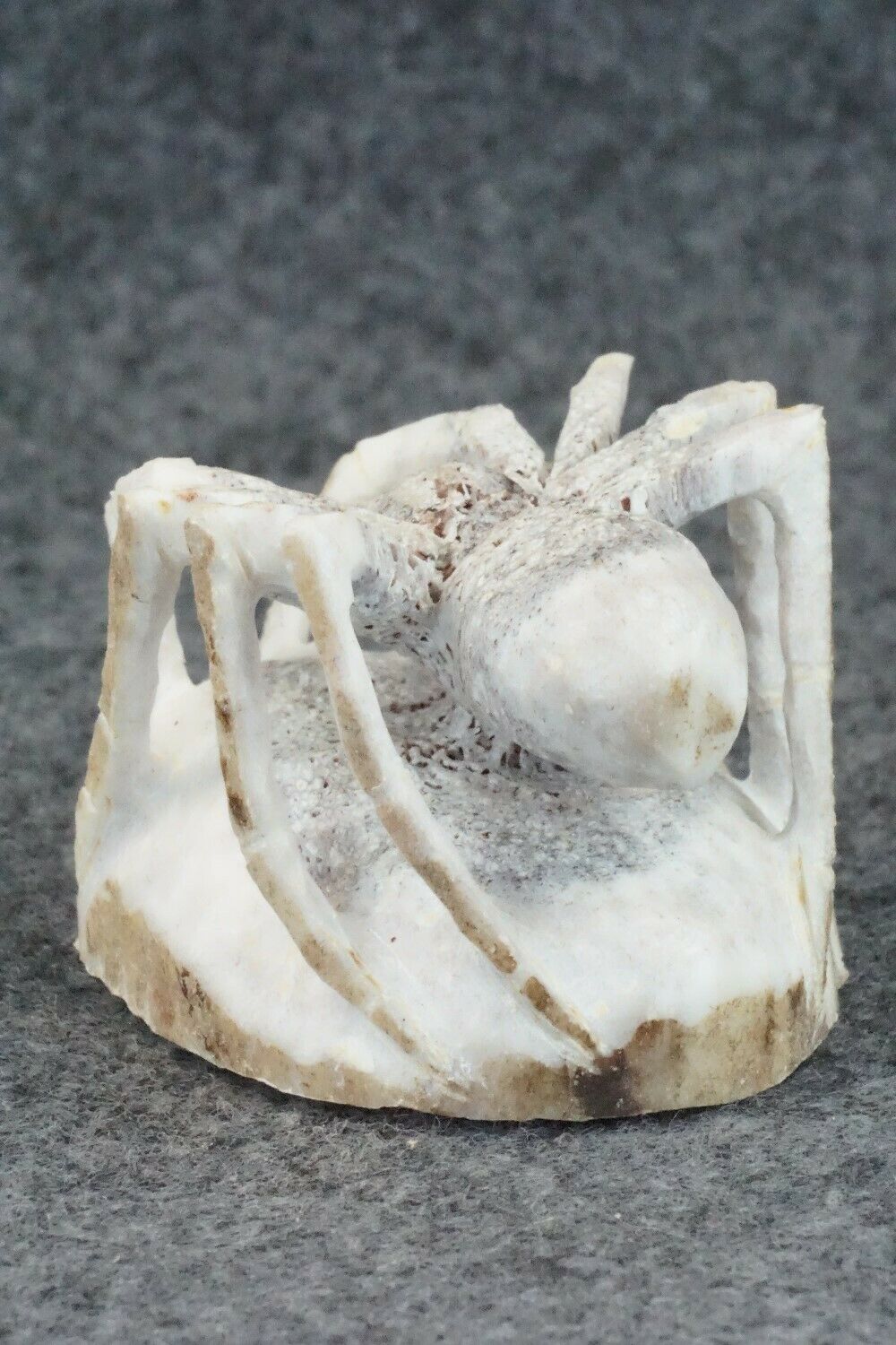 Spider Zuni Fetish Carving - Lewis Malie Jr.