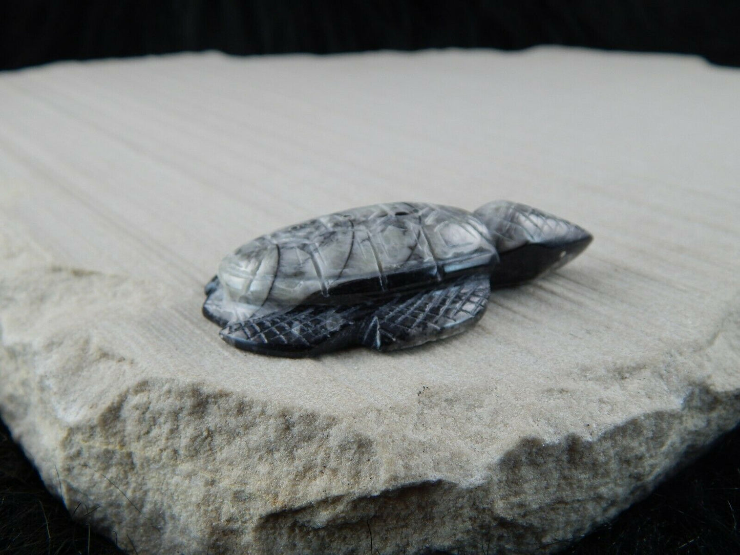 Turtle Zuni Fetish Carving - Kenny Cheama - High Lonesome Trading