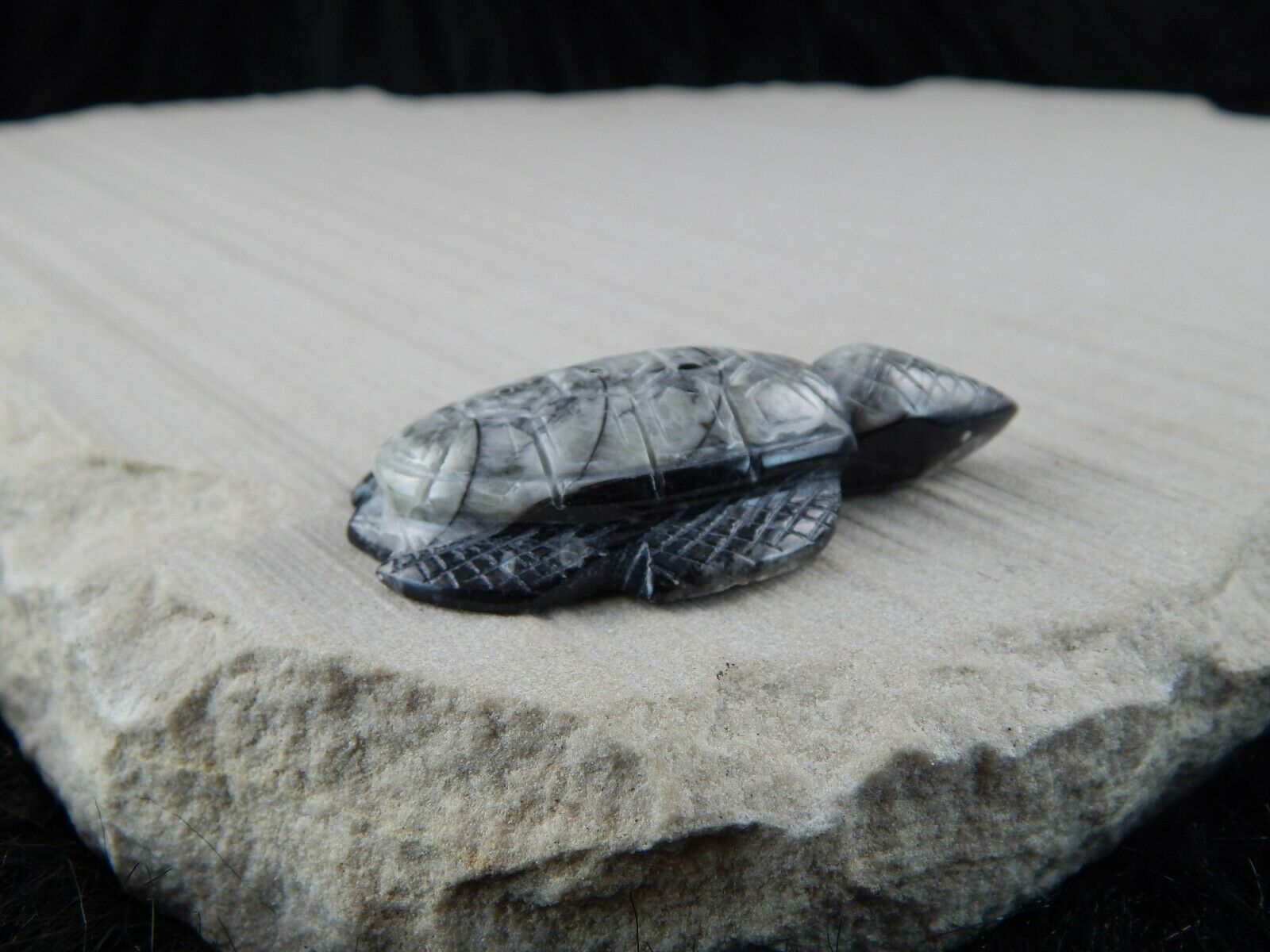 Turtle Zuni Fetish Carving - Kenny Cheama - High Lonesome Trading