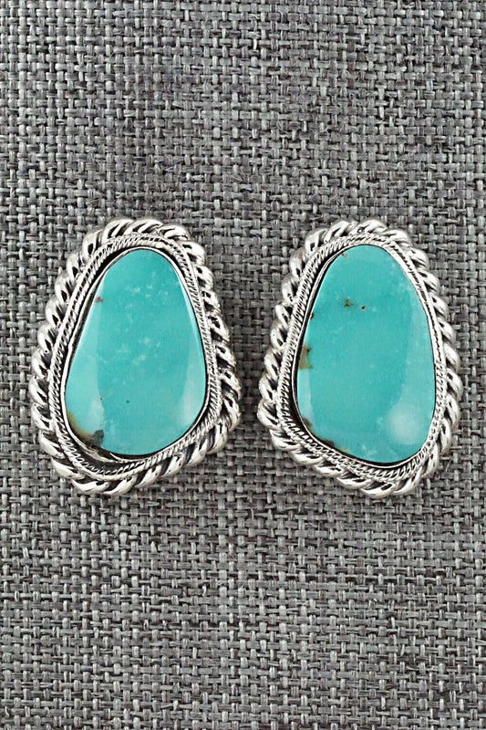 Turquoise and Sterling Silver Earrings - Sharon McCarthy
