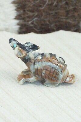 Armadillo Zuni Fetish Carving - Dana Malani - High Lonesome Trading