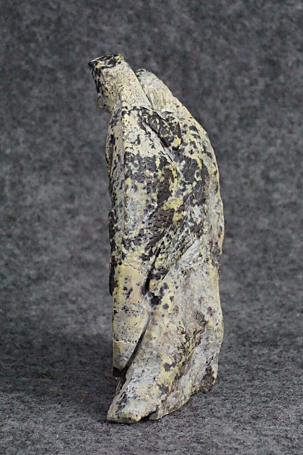 Iguana Zuni Fetish Carving - Colin Weeka