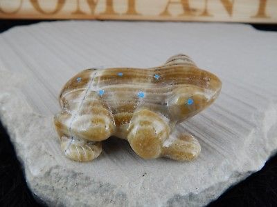 Frog Zuni Fetish Carving - Nelson Yatsattie - High Lonesome Trading