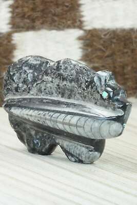 Bear Zuni Fetish Carving - Bernard Laiwakete