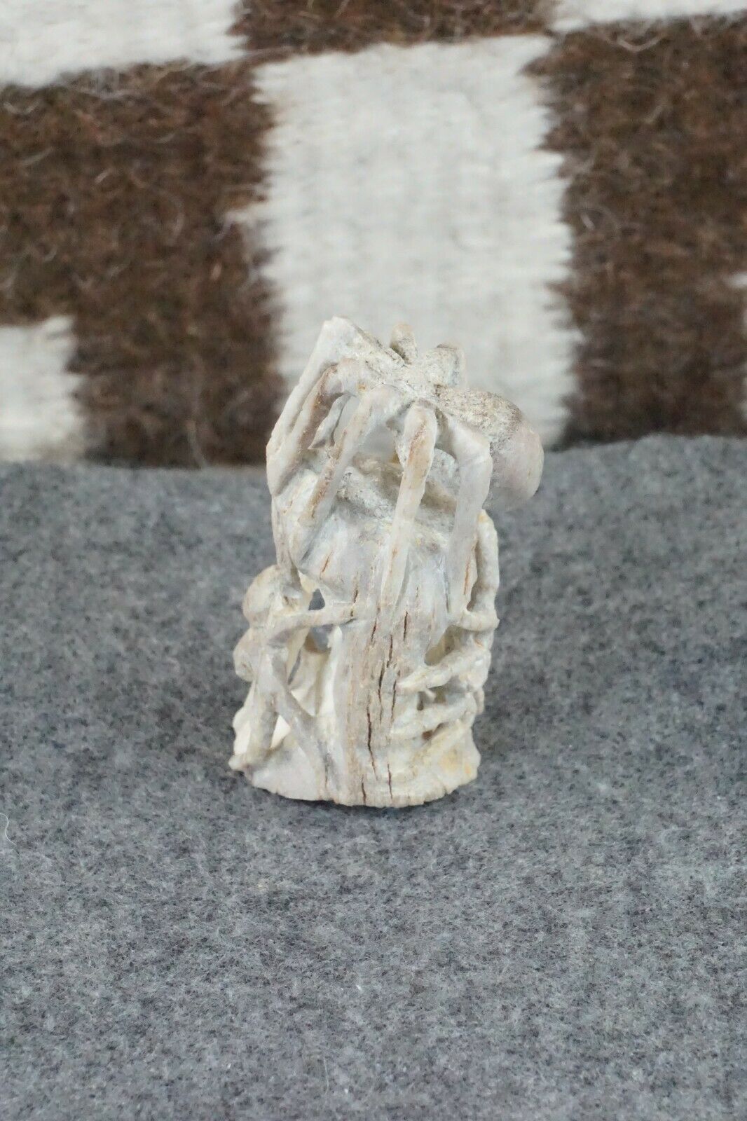 Spider Zuni Fetish Carving - Lewis Malie Jr.