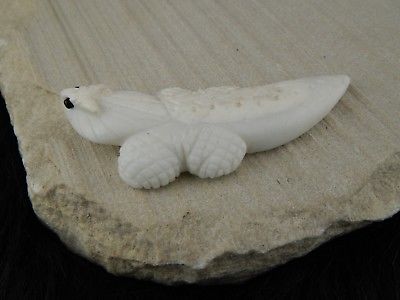 Lizard Zuni Fetish Carving - Lee Bedonie - High Lonesome Trading