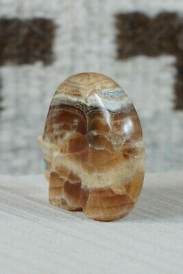 Bear Zuni Fetish Carving - Ronnie Lunasee - High Lonesome Trading