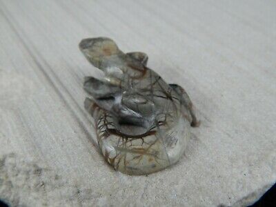 Lizard Zuni Fetish Carving - Leo Pincion - High Lonesome Trading