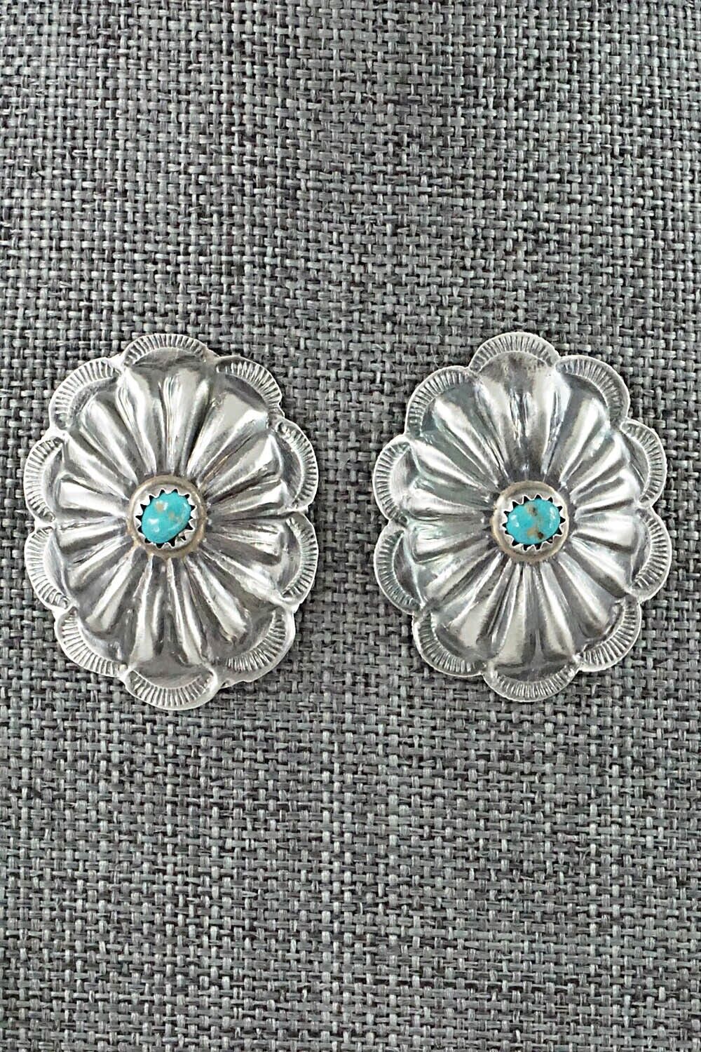 Turquoise & Sterling Silver Necklace and Earrings Set - Joan Begay