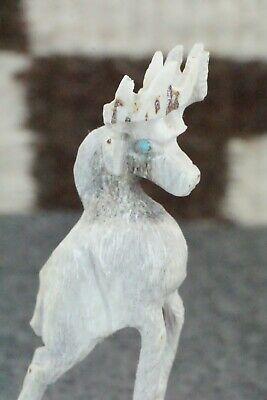 Deer Zuni Fetish Carving - Jerrold Lahaleon - High Lonesome Trading