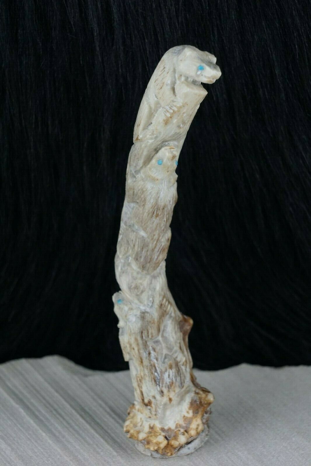 Bear Zuni Fetish Carving - Derrick Kaamasee - High Lonesome Trading