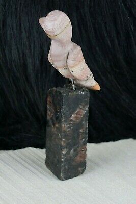 Bird Zuni Fetish Carving- Taylor Gia - High Lonesome Trading