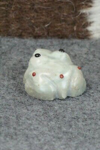 Frog Zuni Fetish Carving - Gordon Poncho