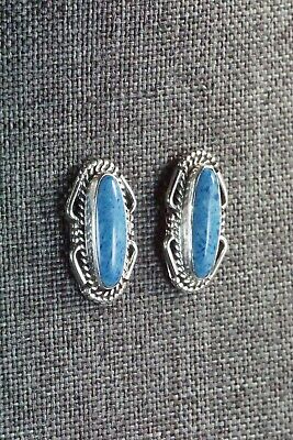 Navajo Turquoise & Sterling Silver Earrings - Jan Mariano