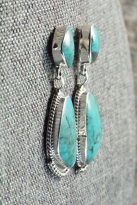 Turquoise and Sterling Silver Earrings - Sadie Jim