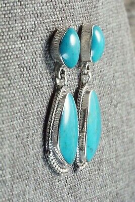 Turquoise and Sterling Silver Earrings - Sadie Jim