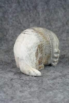 Mole Zuni Fetish Carving - Derrick Kaamasee