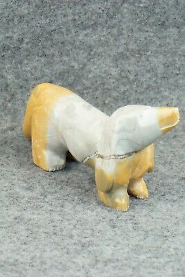 Dog Zuni Fetish Carving - Enrike Leekya