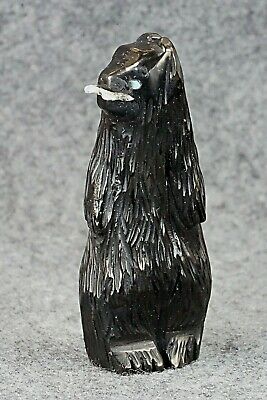 Bear Zuni Fetish Carving - Faye Quandelacy