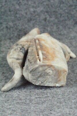 Mountain Lion Zuni Fetish Carving - Colin Weeka