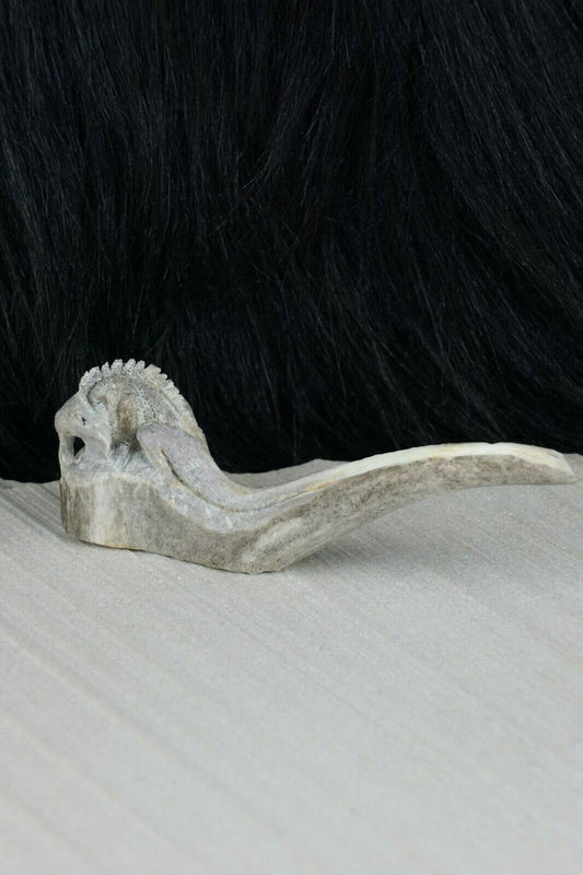 Iguana Zuni Fetish Carving - Lewis Malie - High Lonesome Trading
