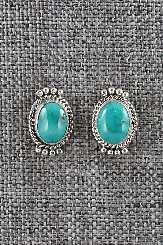 Turquoise & Sterling Silver Earrings - Jan Mariano