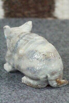 Armadillo Zuni Fetish Carving - Derrick Kaamasee - High Lonesome Trading