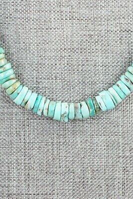 Turquoise & Sterling Silver Necklace - Doreen Jake