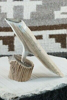 Bird Zuni Fetish Carving - Harvey Harker - High Lonesome Trading