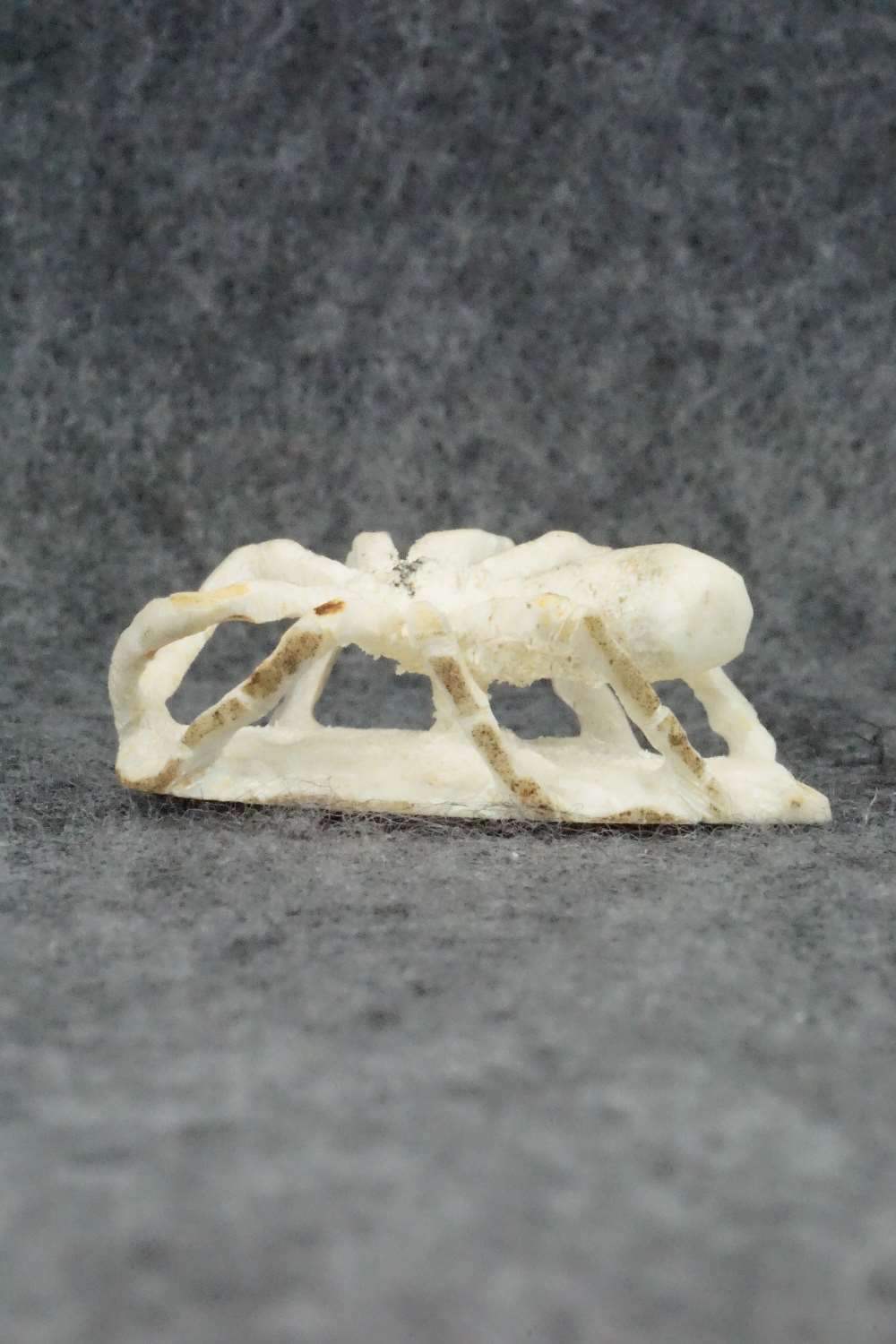 Spider Zuni Fetish Carving - Lewis Malie Jr.